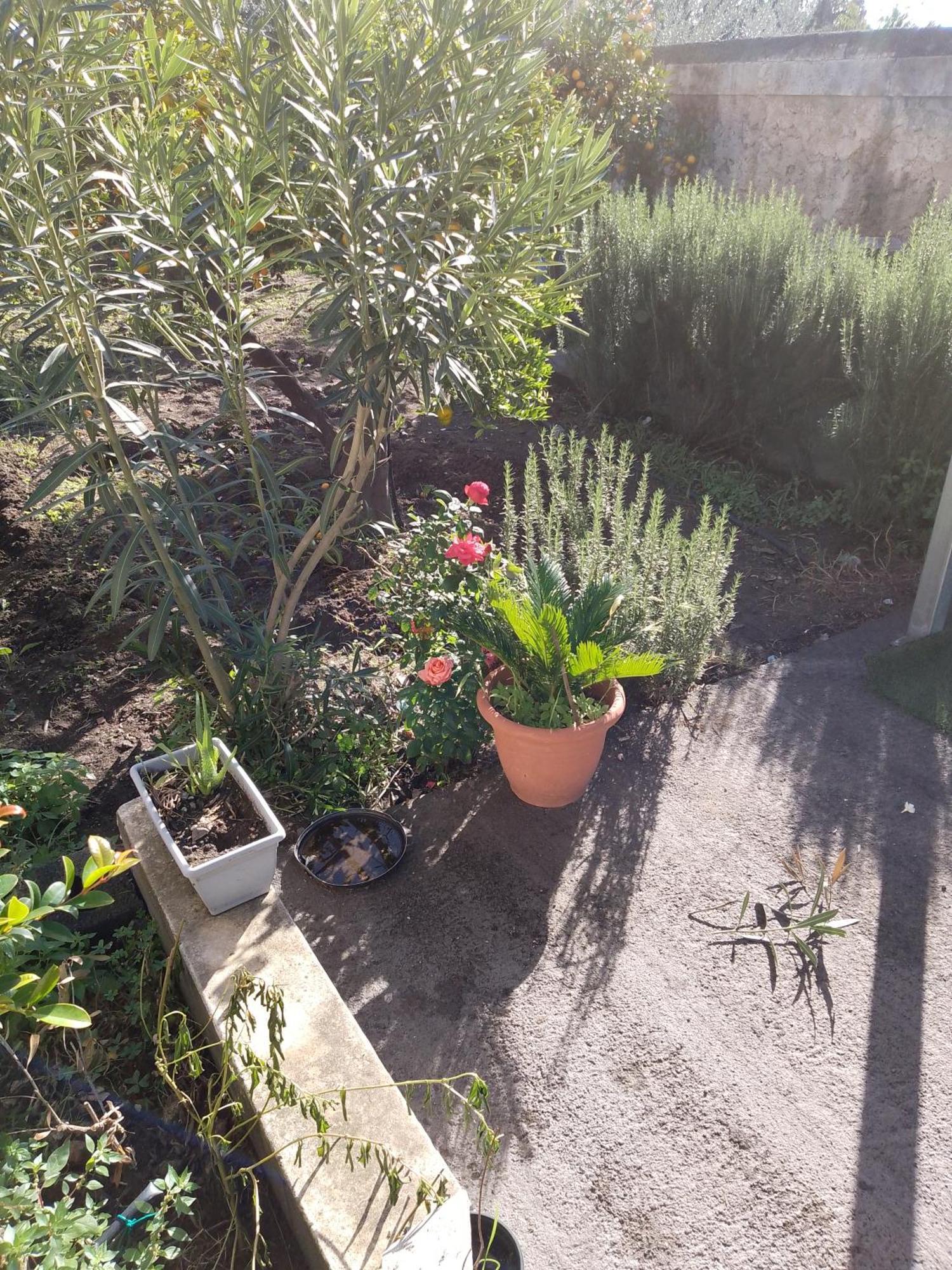 Le Casette Di Nonna Rosa In Fontanarossa Catania Airport Dış mekan fotoğraf